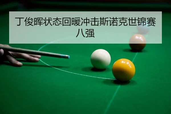 ding-jun-hui-zhuang-tai-hui-nuan-chong-ji-si-nuo-ke-shi-jin-sai-ba-qiang-3-306.jpg